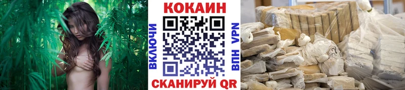 сайты даркнета наркотические препараты  Петухово  Кокаин Эквадор  наркотики 
