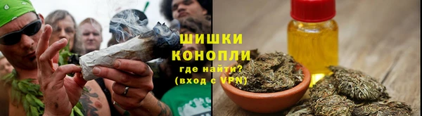 ПСИЛОЦИБИНОВЫЕ ГРИБЫ Дмитриев