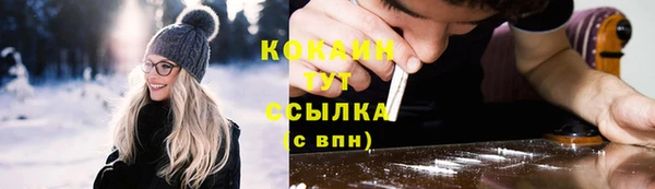 крисы Гусев