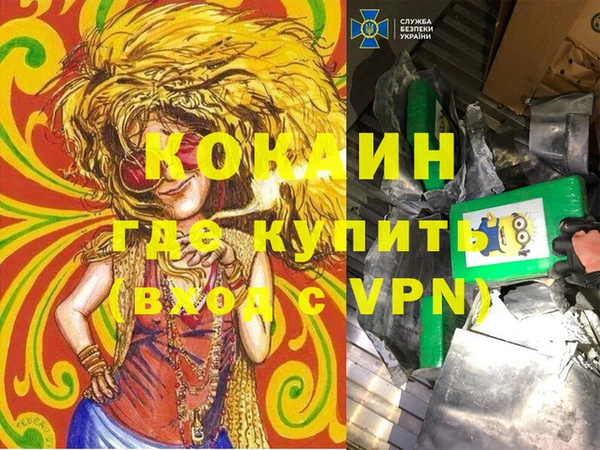 ПСИЛОЦИБИНОВЫЕ ГРИБЫ Гусь-Хрустальный