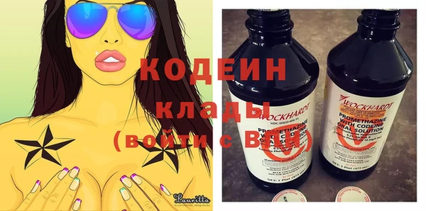 ПСИЛОЦИБИНОВЫЕ ГРИБЫ Гусь-Хрустальный
