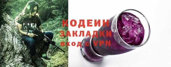 крисы Гусев