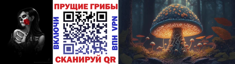 Псилоцибиновые грибы Psilocybine cubensis  Петухово 